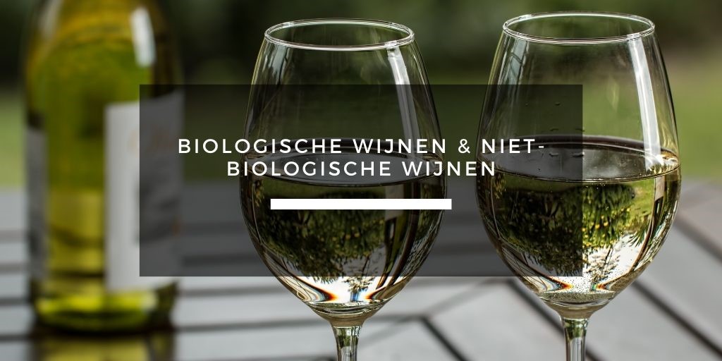 biologische wijnen organic wines