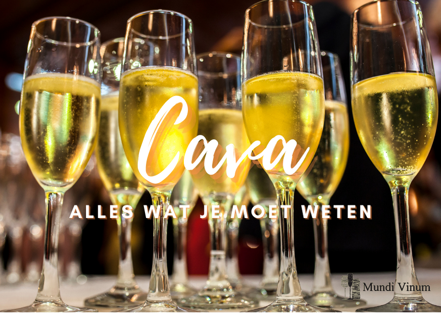 : Wil je weten wat Cava precies is? In deze blogpost vind je meer informatie over deze Spaanse mousserende wijn!
