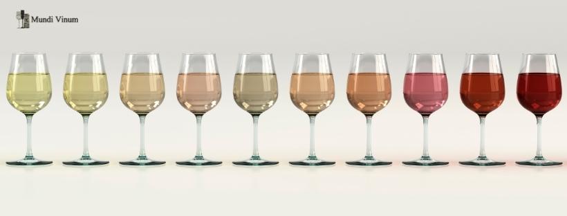 wijnblog kleur in de wijn beoordelen