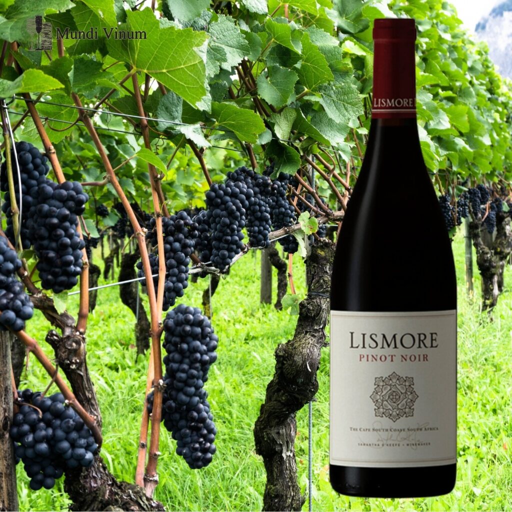 lismore estate pinot noir zuid-afrikaanse wijn cool climate elgin