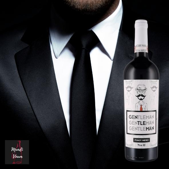 ferro 13 the gentleman pinot nero noir italiaanse rode wijn
