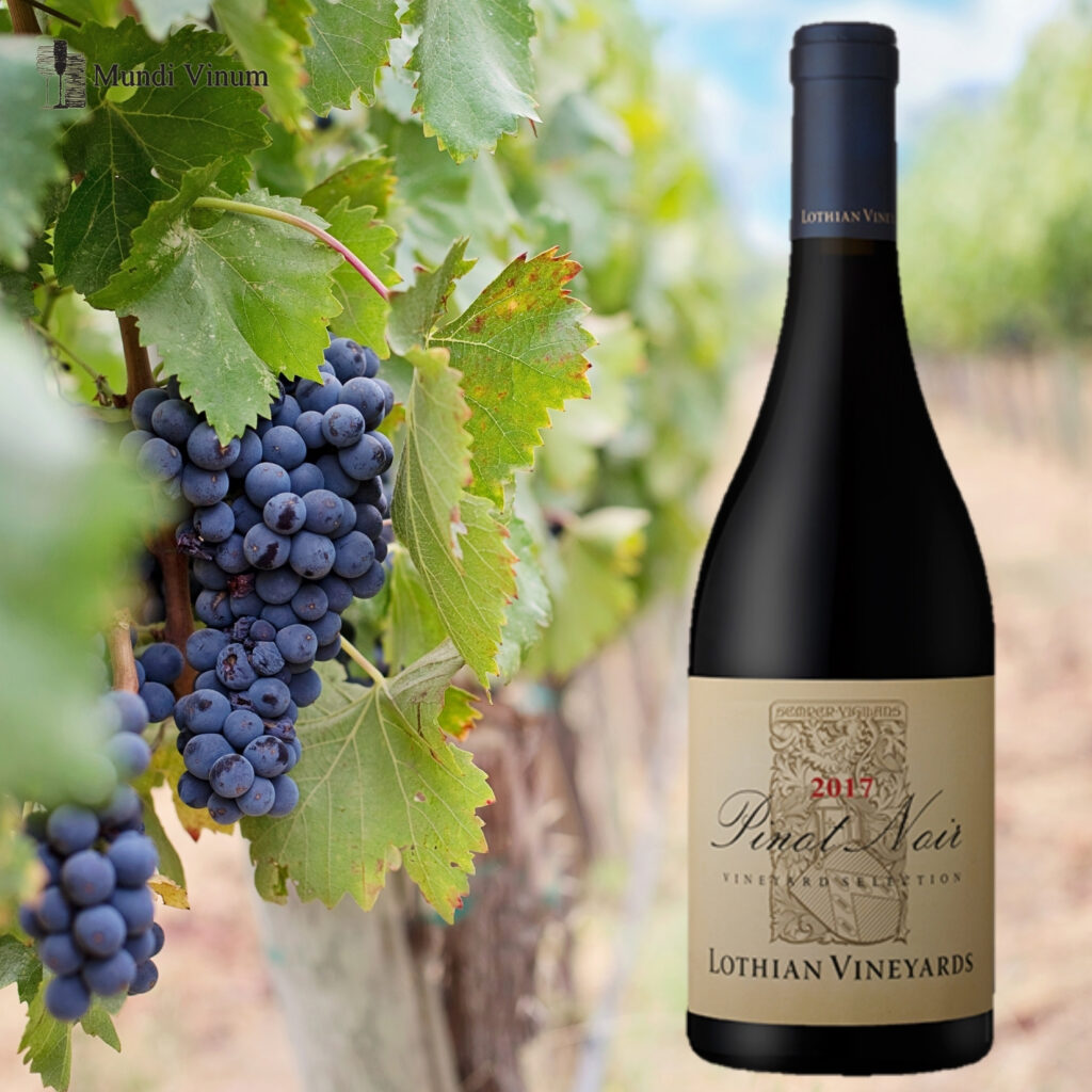 lothian vineyard pinot noir elgin valley cool climate zuid-afrikaanse rode wijn lekker