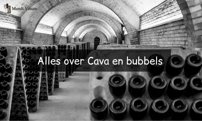 wat is cava en het verschil met champagne prosecco wijnblog artikel wijnhandel mundi vinum herent leuven vonkelwyn prosecco