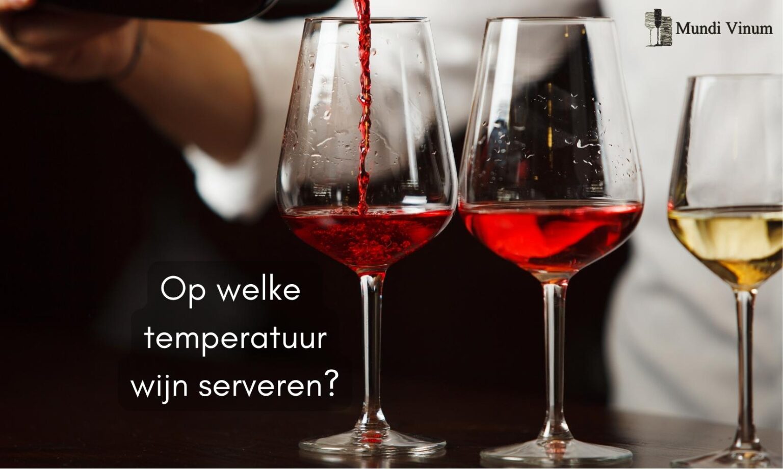 op welke wijn rode wijn witte wijn serveren ?